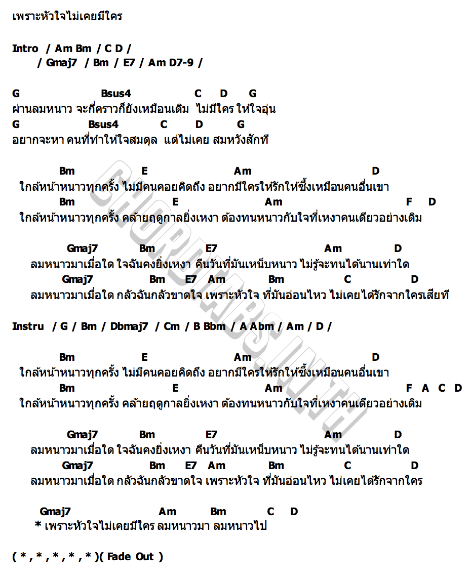 คอร์ด ลมหนาว POLYCAT