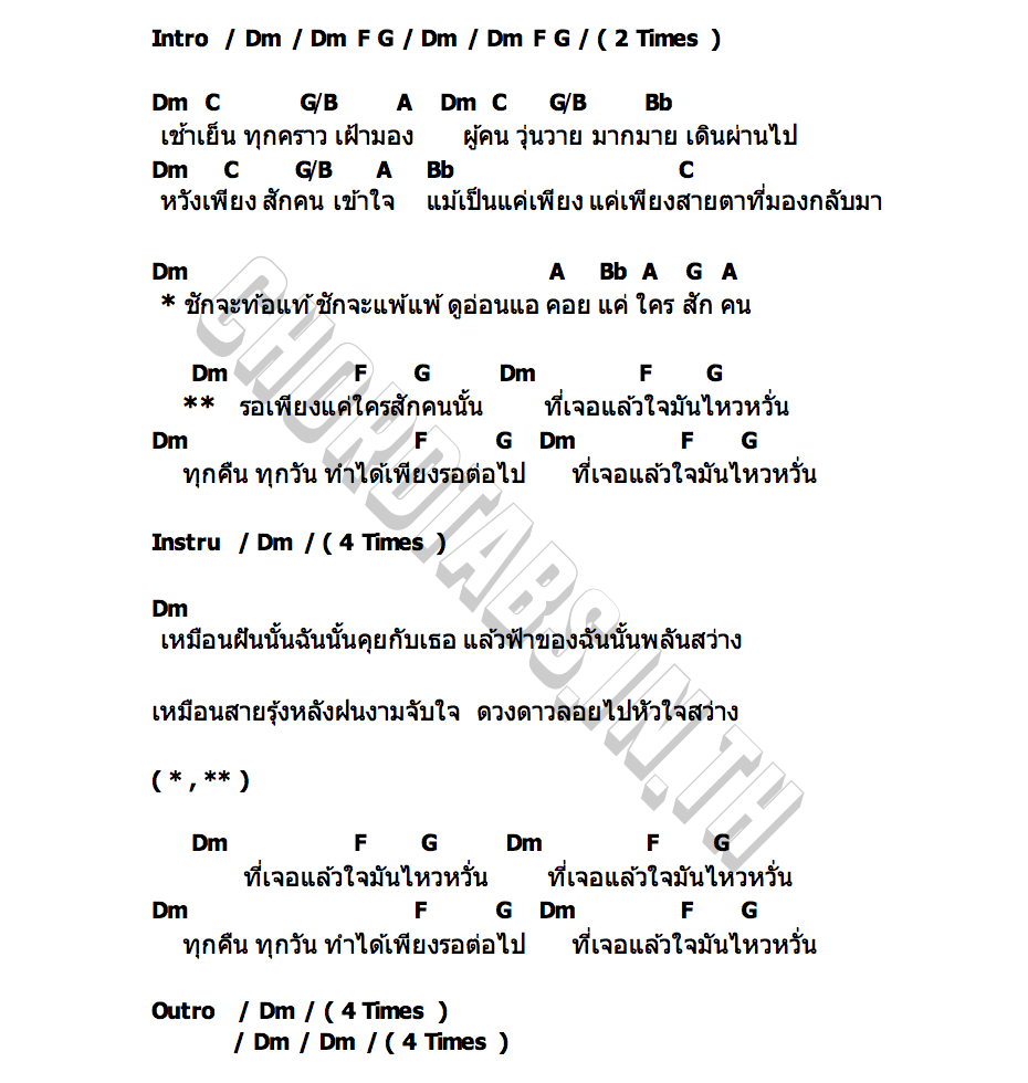 คอร์ด HIPPO SCRUBB