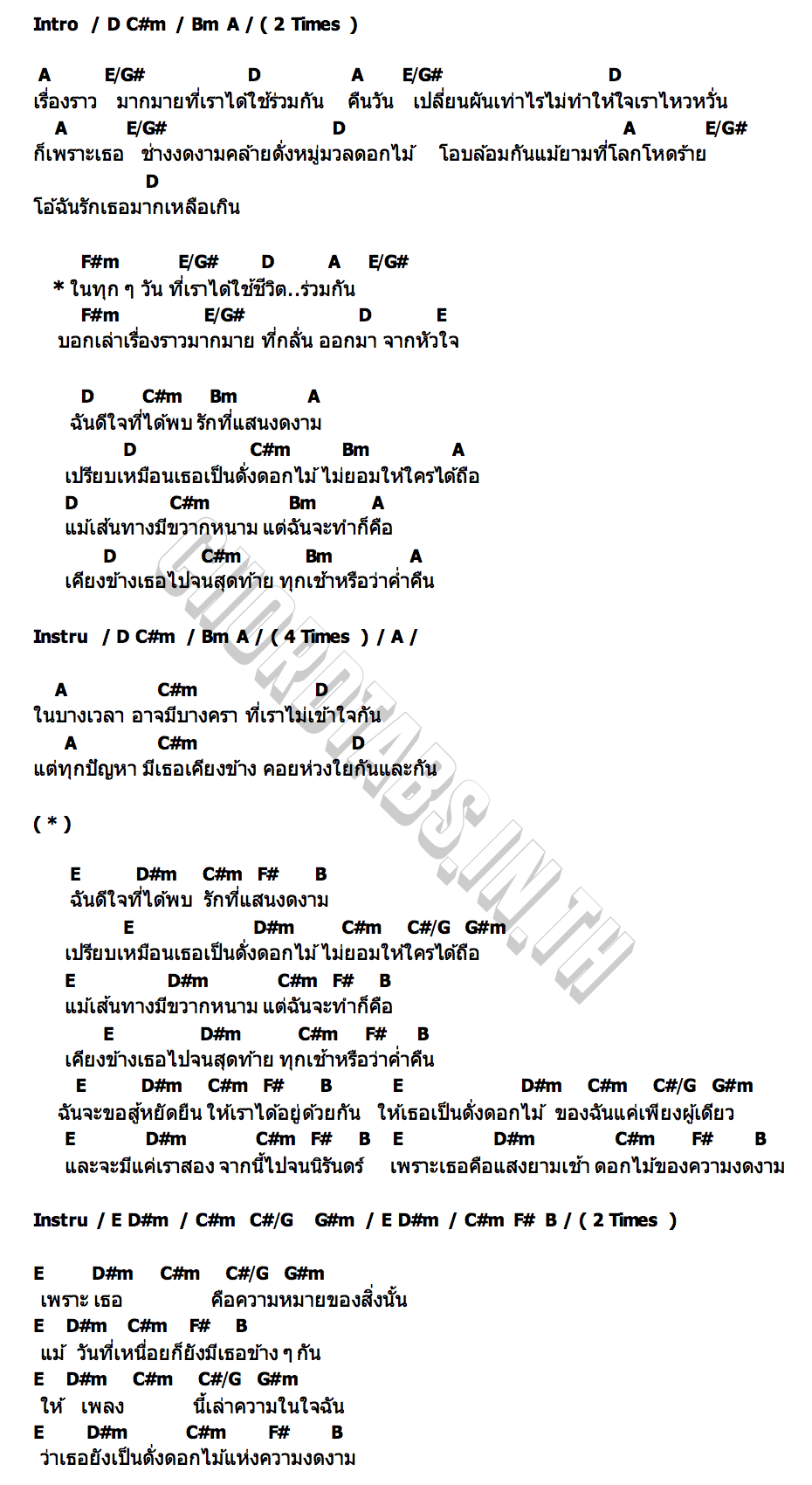 คอร์ด ดอกไม้แห่งความงดงาม (Blossom) Famoso