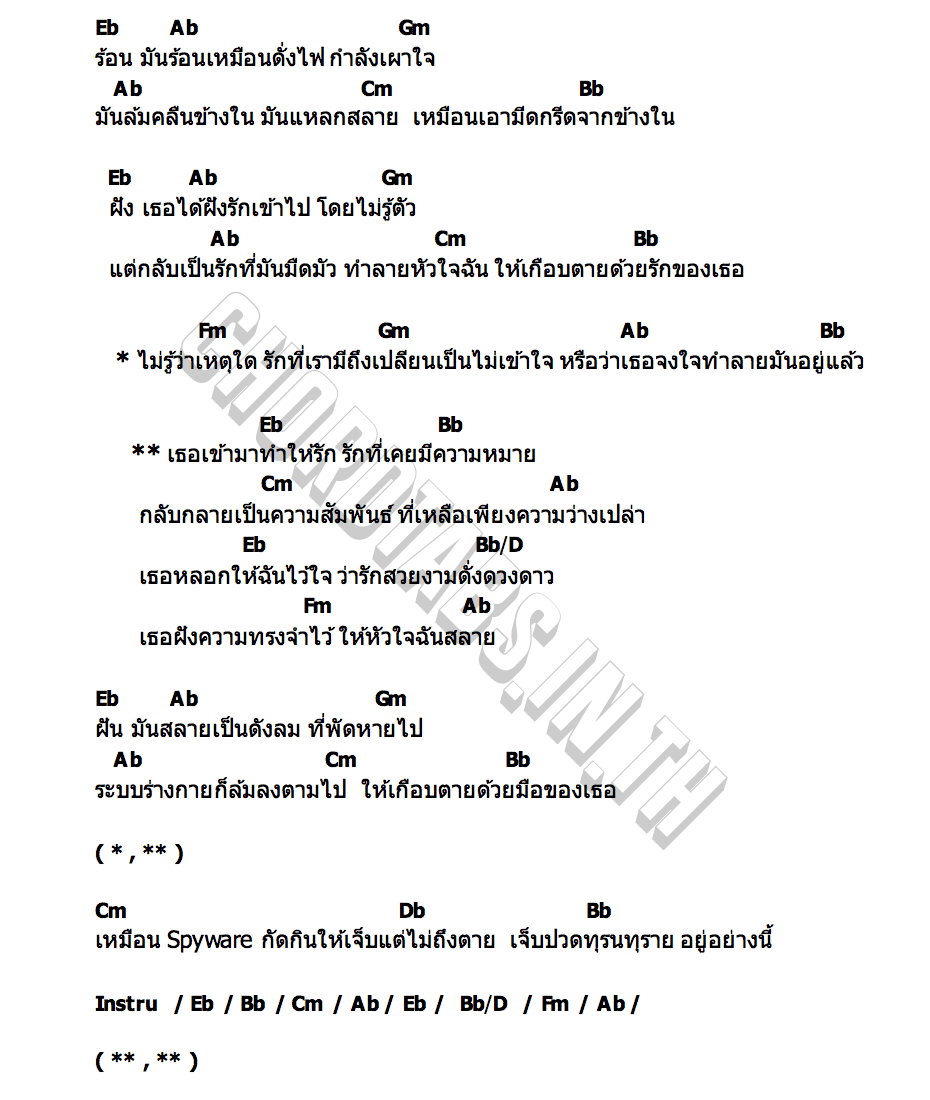 คอร์ด ฝัง (Spyware) So Cool