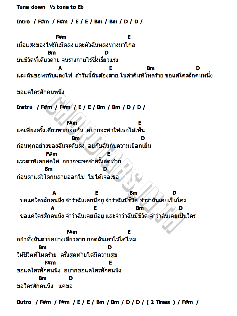 คอร์ด หมาแก่ RAT S EYE VIEW