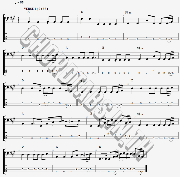 แทป อีกฝั่งฤดู BUTUS